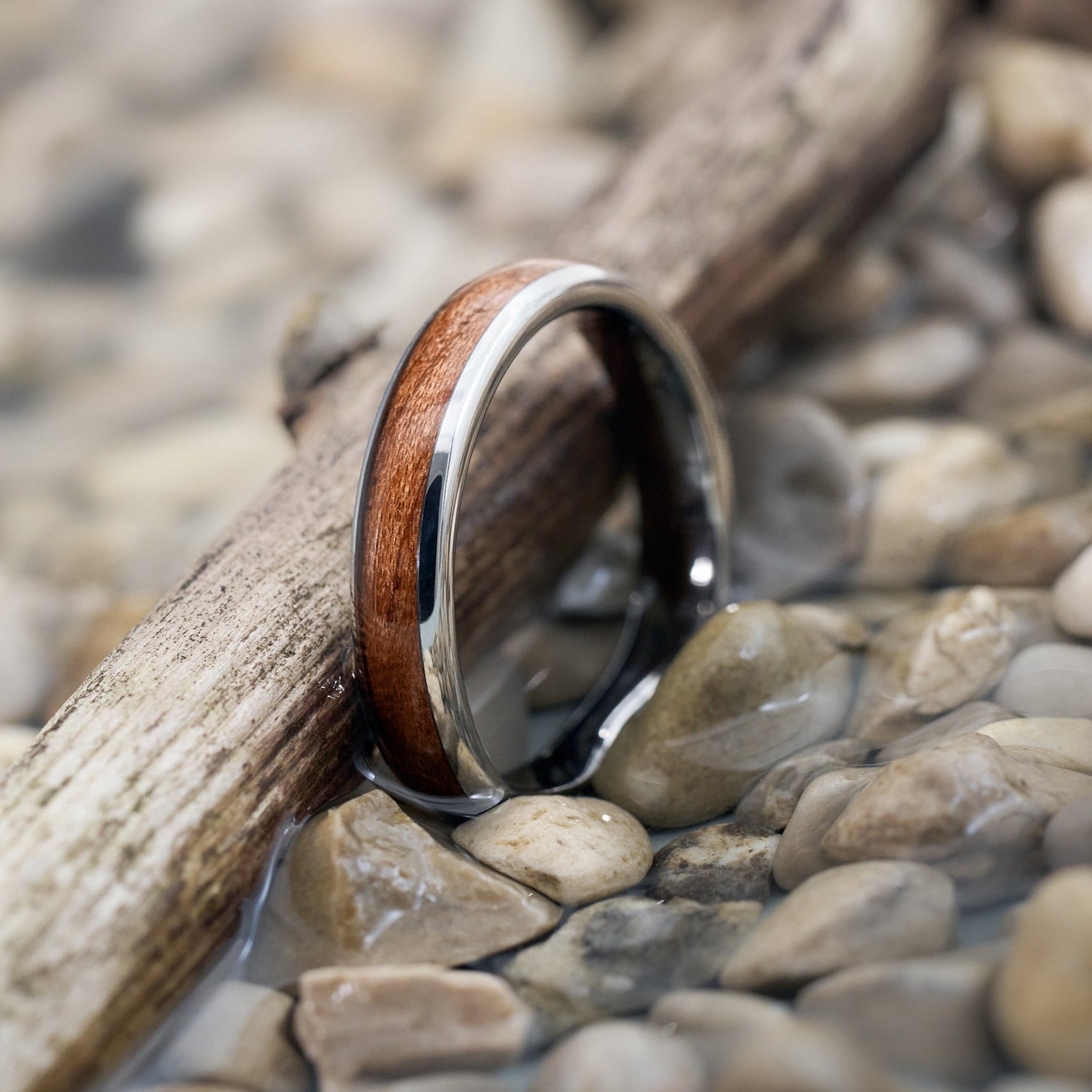Ehering aus Holz in Silber Elano von Fablano