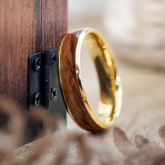 Verlobungsring in Gold Elano von Fablano