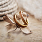 Verlobungsringe Holz in Gold Elano von Fablano