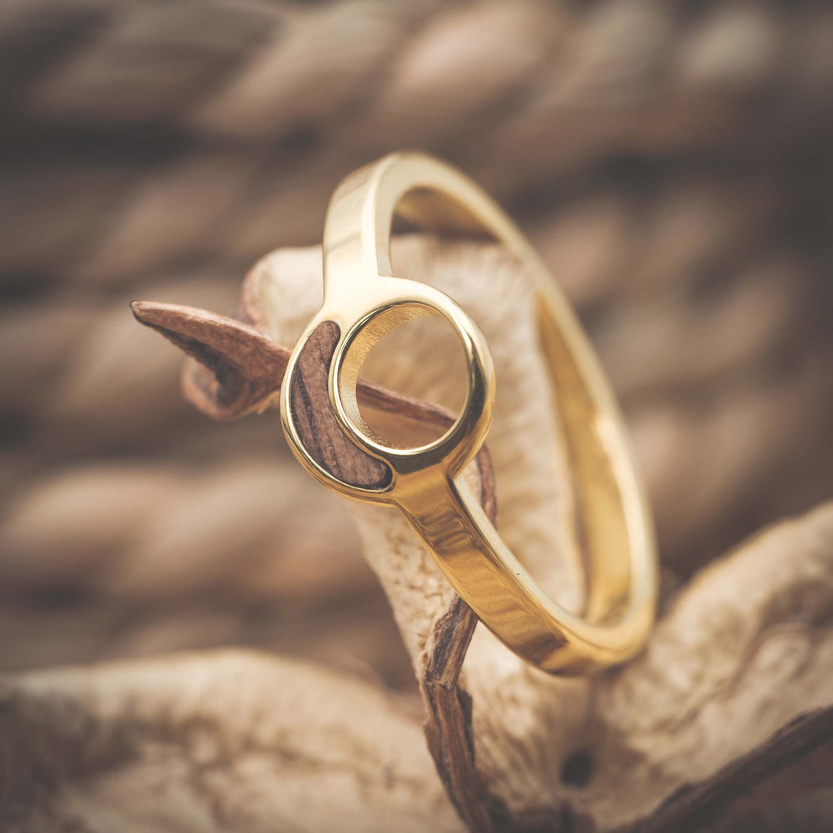 Damenring Holz Gold Fablano Circulino